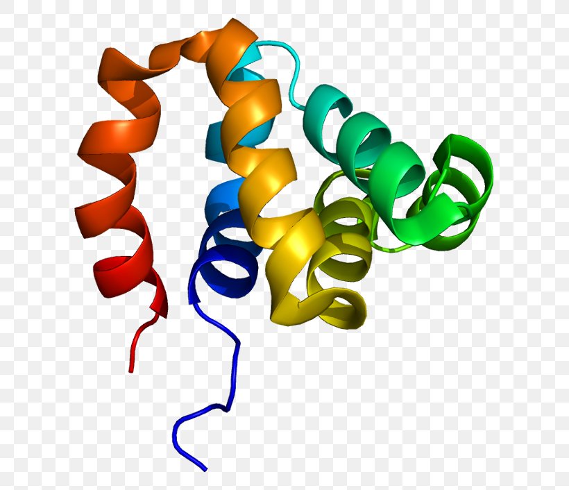 NOD1 Mutation Wikipedia NOD2 Protein, PNG, 655x706px, Mutation, Encyclopedia, Gene, Genetics, Leucinerich Repeat Download Free