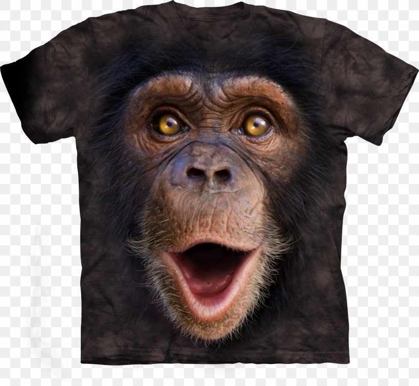 Printed T-shirt Hoodie Clothing, PNG, 1800x1659px, Tshirt, Brand, Chimpanzee, Clothing, Clothing Accessories Download Free