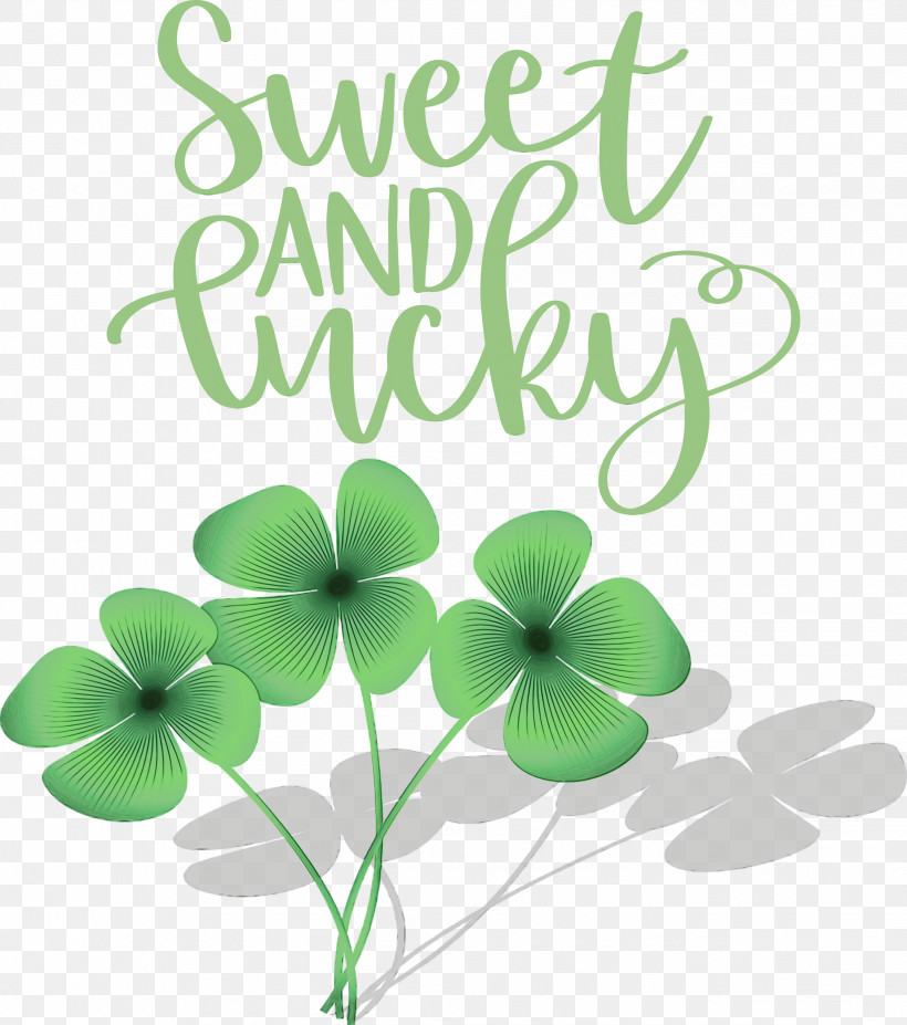 Shamrock, PNG, 2652x3000px, St Patricks Day, Biology, Green, Leaf, Meter Download Free