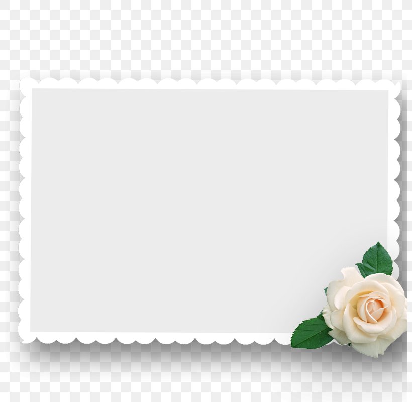 Beach Rose Picture Frame Postage Stamp, PNG, 800x800px, Beach Rose, Flower, Garden Roses, Green, Molding Download Free