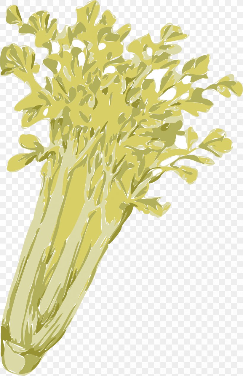 Celery Clip Art, PNG, 1243x1920px, Celery, Branch, Carrot, Cdr, Celeriac Download Free