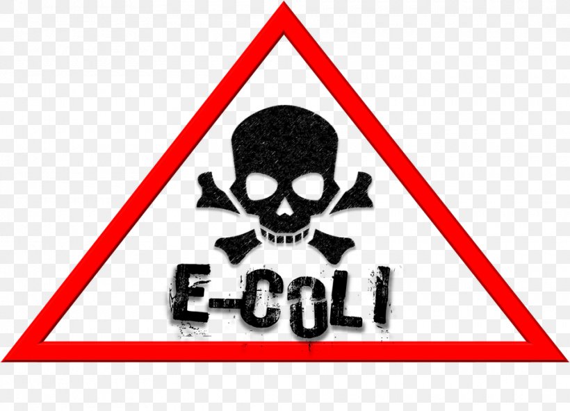 Food Poisoning Infection E. Coli Food Safety, PNG, 960x694px, Food Poisoning, Area, Bacteria, Brand, Contamination Download Free
