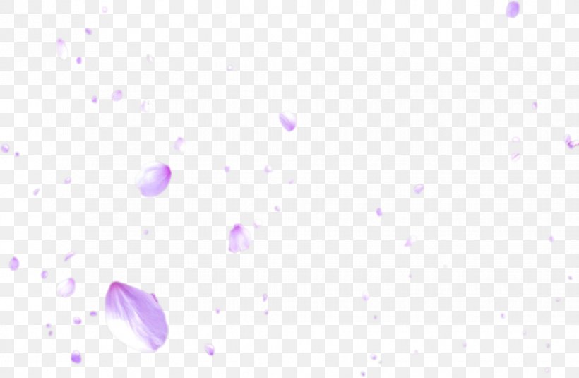 Lavender Blue Lilac Violet Magenta, PNG, 918x600px, Lavender, Atmosphere, Blue, Close Up, Computer Download Free