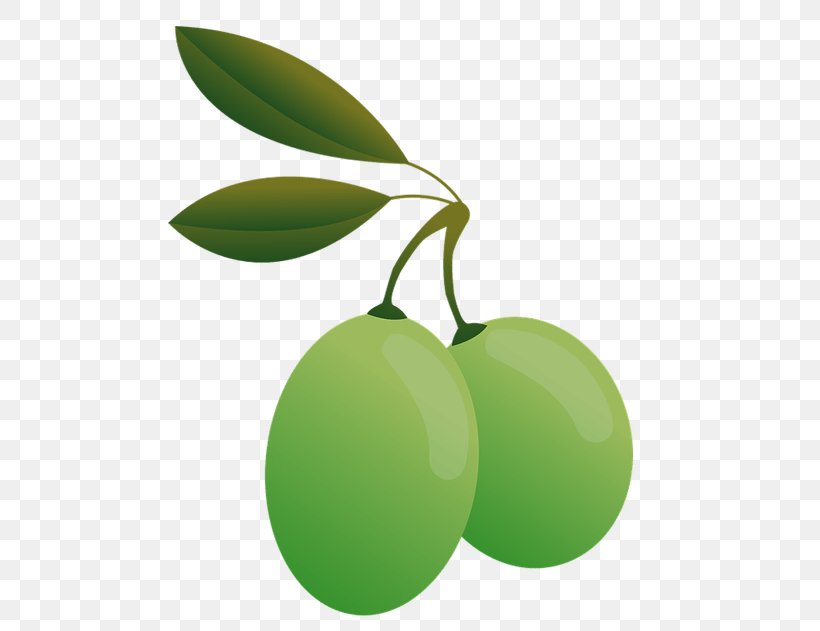 Olive Oil Desktop Wallpaper, PNG, 624x631px, Olive, Food, Fruit, Green, Ingredient Download Free