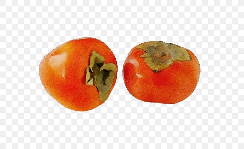 Tomato, PNG, 600x500px, Watercolor, Biology, Bush Tomato, Natural Food, Paint Download Free