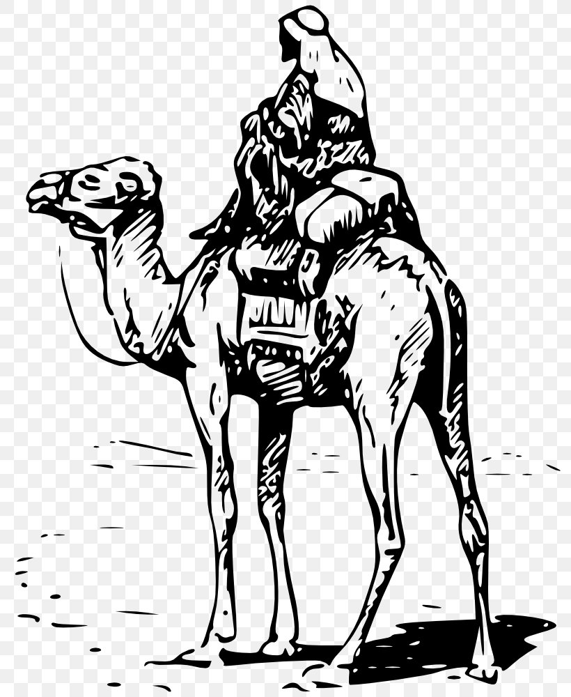 Dromedary Bactrian Camel Silk Road Equestrian Clip Art, PNG, 820x1000px, Dromedary, Arabian Camel, Art, Bactrian Camel, Black And White Download Free