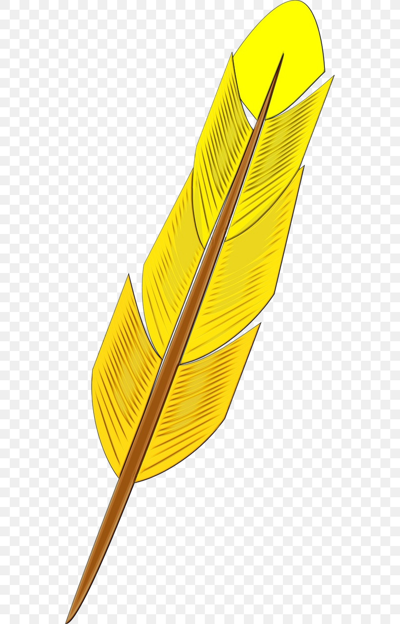 Feather, PNG, 640x1280px, Watercolor, Biology, Feather, Geometry, Leaf Download Free