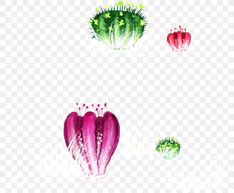 Cartoon Cactaceae, PNG, 1660x1369px, Watercolor, Cartoon, Flower, Frame, Heart Download Free