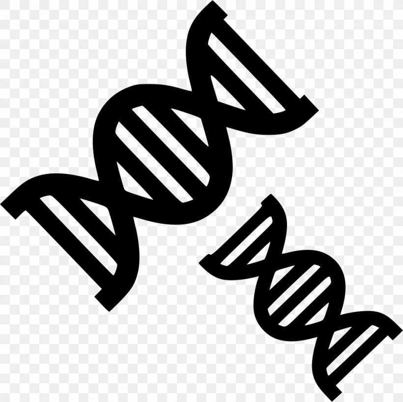 DNA Nucleic Acid Double Helix Vector Clip Art Genetics, PNG, 980x978px, Dna, Area, Biology, Black, Black And White Download Free