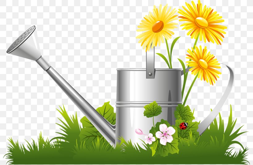 Flower Garden Clip Art, PNG, 800x535px, Flower Garden, Color Garden, Daisy, Energy, Fence Download Free