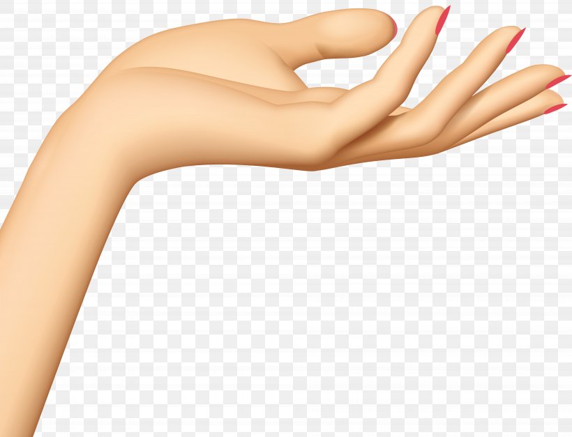 Hand Clip Art, PNG, 8000x6123px, Hand, Arm, Beauty, Finger, Hand Model Download Free
