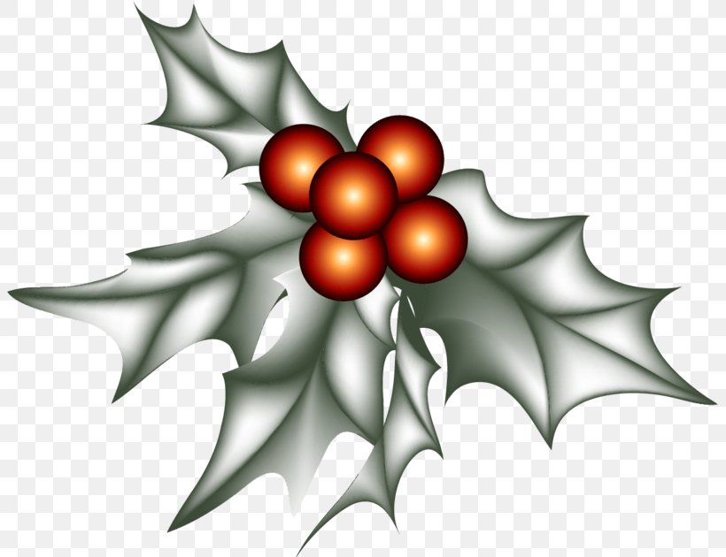 Holly Christmas Day Design Image, PNG, 803x630px, Holly, American Holly, Aquifoliales, Cartoon, Christmas Day Download Free
