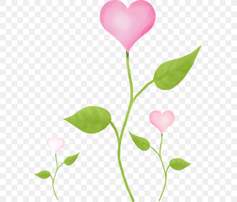 Pink Clip Art, PNG, 582x700px, Pink, Branch, Cut Flowers, Flora, Floral Design Download Free