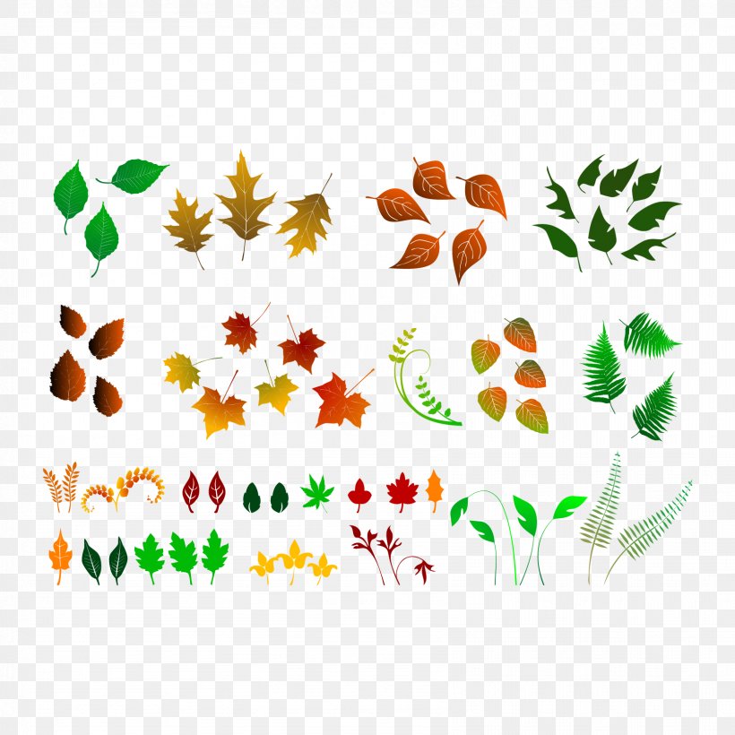 Sessile Oak Quercus Pubescens Leaf, PNG, 1667x1667px, Sessile Oak, Autumn, Autumn Leaf Color, Border, Branch Download Free
