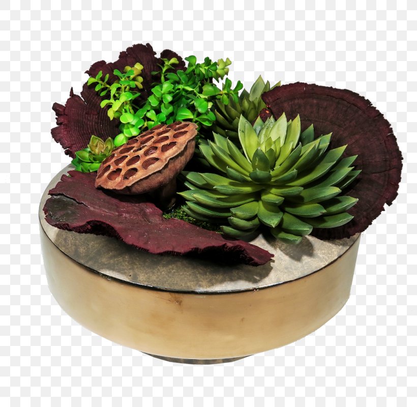 Flowerpot Superfood Plant, PNG, 800x800px, Flowerpot, Plant, Superfood Download Free