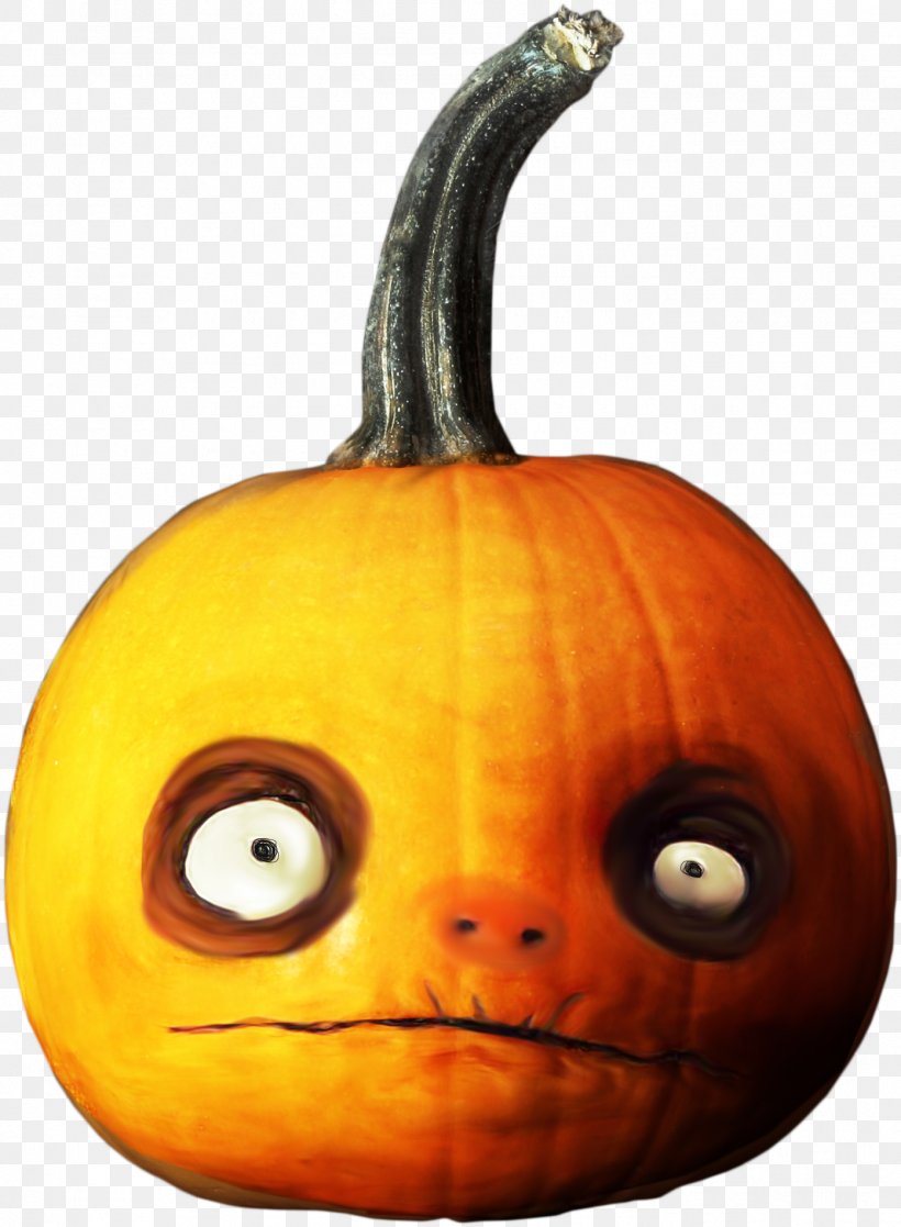 Pumpkin Cucurbita Jack-o'-lantern Gourd Winter Squash, PNG, 1393x1898px, Pumpkin, Calabaza, Carving, Cucumber, Cucumber Gourd And Melon Family Download Free