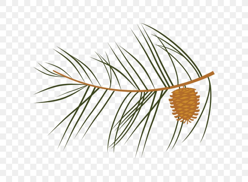 Twig Leaf Tree Pine Clip Art, PNG, 600x600px, Twig, American Larch, American Pitch Pine, Botany, Branch Download Free