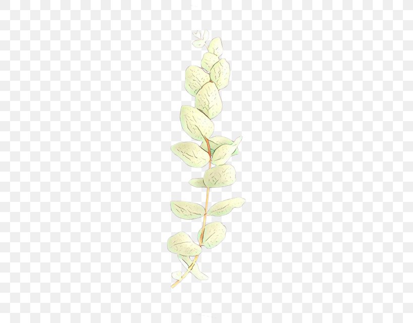 White Flower Plant Pedicel Flowering Plant, PNG, 640x640px, Cartoon, Flower, Flowering Plant, Pedicel, Plant Download Free