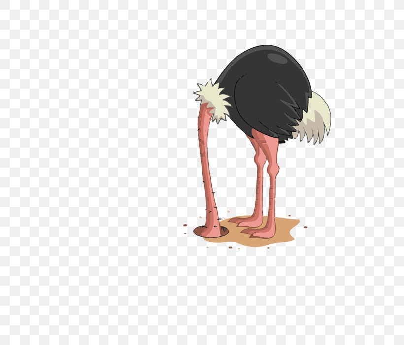 Common Ostrich Flightless Bird Ratite Dino Dreams, PNG, 640x700px, Common Ostrich, Animal, Beak, Bird, Birthday Download Free