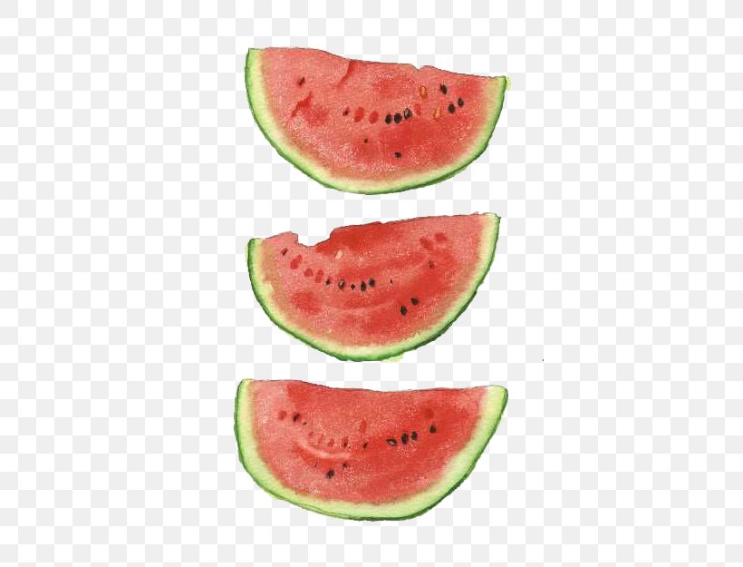 Watermelon Watercolor Painting Art Illustration, PNG, 462x625px, Watermelon, Art, Cartoon, Citrullus, Cucumber Gourd And Melon Family Download Free