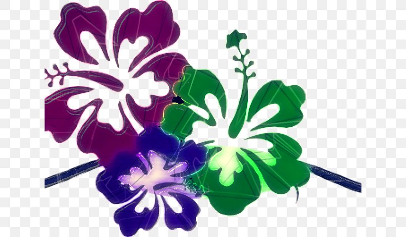 Flowering Plant Flower Plant Purple Petal, PNG, 640x480px, Flowering Plant, Flower, Hibiscus, Mallow Family, Petal Download Free