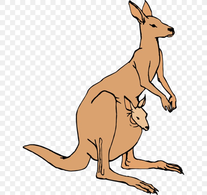 Kangaroo Free Content Pouch Clip Art, PNG, 640x775px, Kangaroo, Carnivoran, Dog Breed, Dog Like Mammal, Fauna Download Free