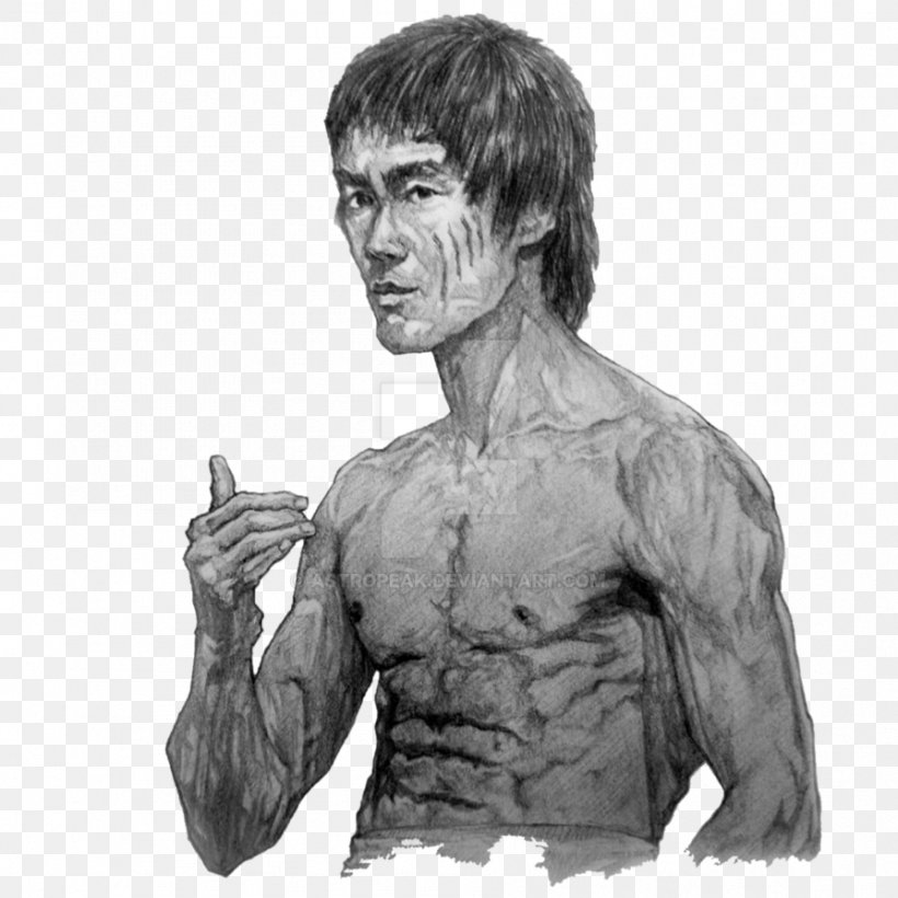 Bruce Lee Work Of Art Drawing Photography, PNG, 894x894px, Watercolor, Cartoon, Flower, Frame, Heart Download Free