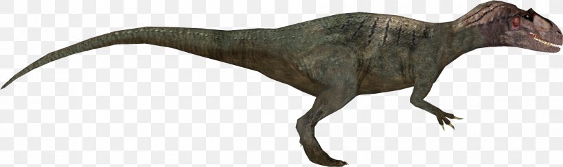Gasosaurus Allosaurus Zoo Tycoon: Dinosaur Digs Ornitholestes Zoo Tycoon 2, PNG, 1881x560px, Gasosaurus, Allosaurus, Animal Figure, Baryonyx, Dinosaur Download Free