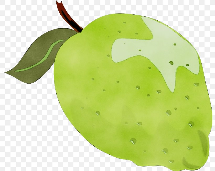 Green Leaf Watercolor, PNG, 800x654px, Watercolor, Accessory Fruit, Apple, Food, Fruit Download Free