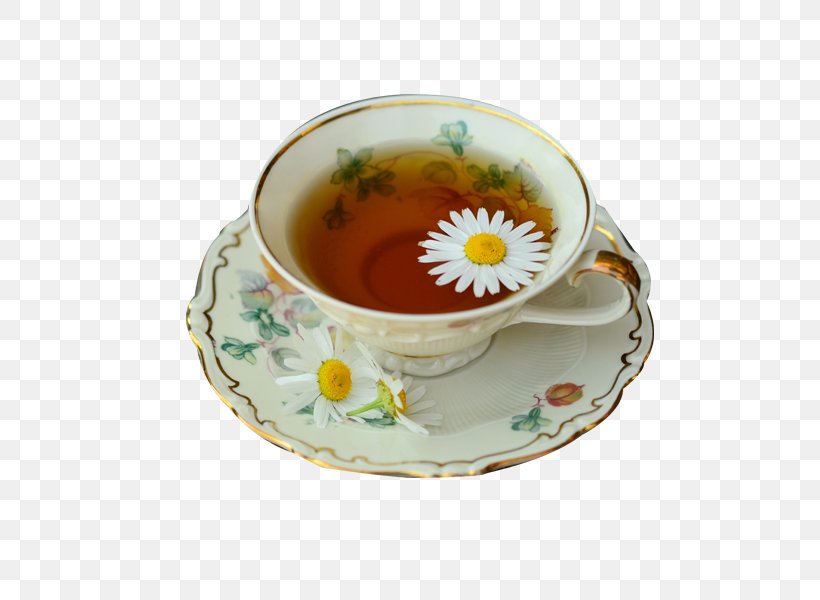 Green Tea Drink Herbal Tea, PNG, 600x600px, Tea, Chamomile, Coffee Cup, Cup, Dandelion Coffee Download Free