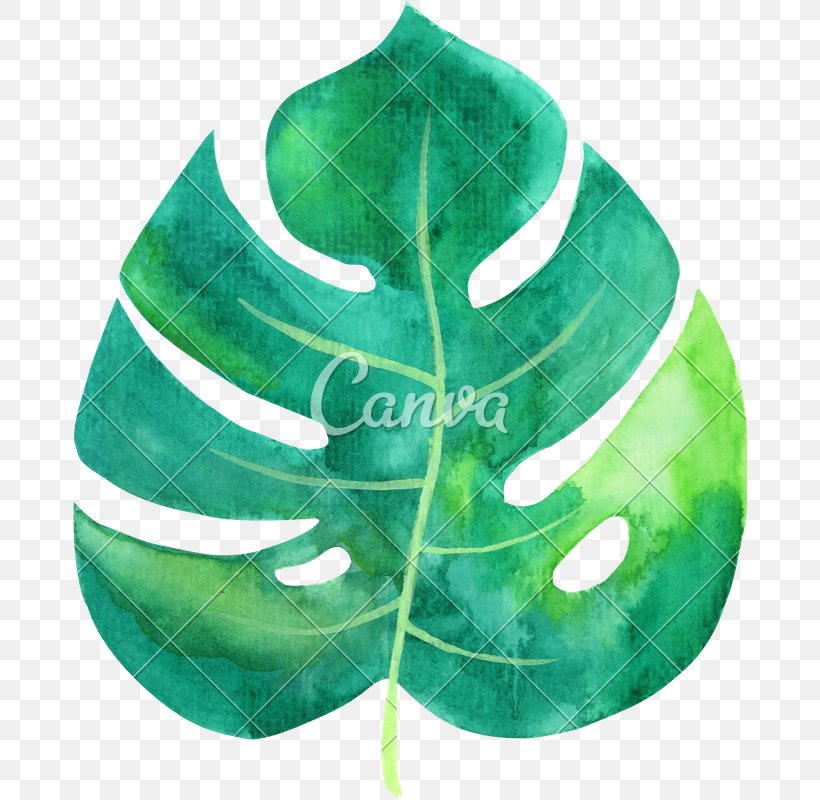 Hammock Leaf Image Clip Art, PNG, 674x800px, Hammock, Canvas, Green, Leaf, Painting Download Free