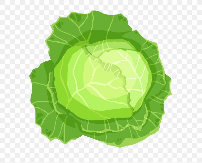 Leaf Vegetable Cabbage, PNG, 2166x1750px, Leaf Vegetable, Cabbage, Grass, Green, Kale Download Free