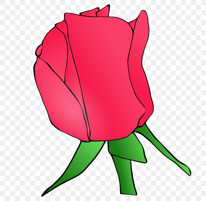 Rose Bud Flower Clip Art, PNG, 800x800px, Watercolor, Cartoon, Flower, Frame, Heart Download Free