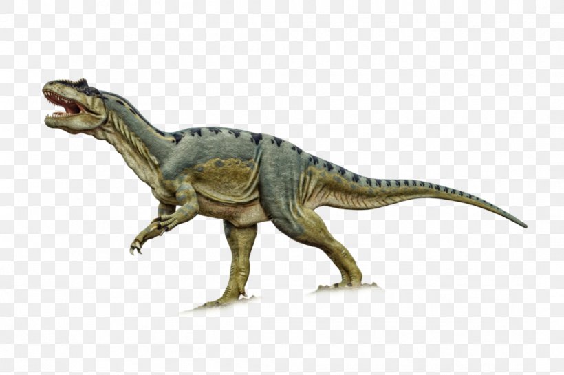 Tyrannosaurus Dinosaur Velociraptor Giganotosaurus Bird, PNG, 1096x729px, Tyrannosaurus, Animal, Animal Figure, Bird, Cretaceous Download Free