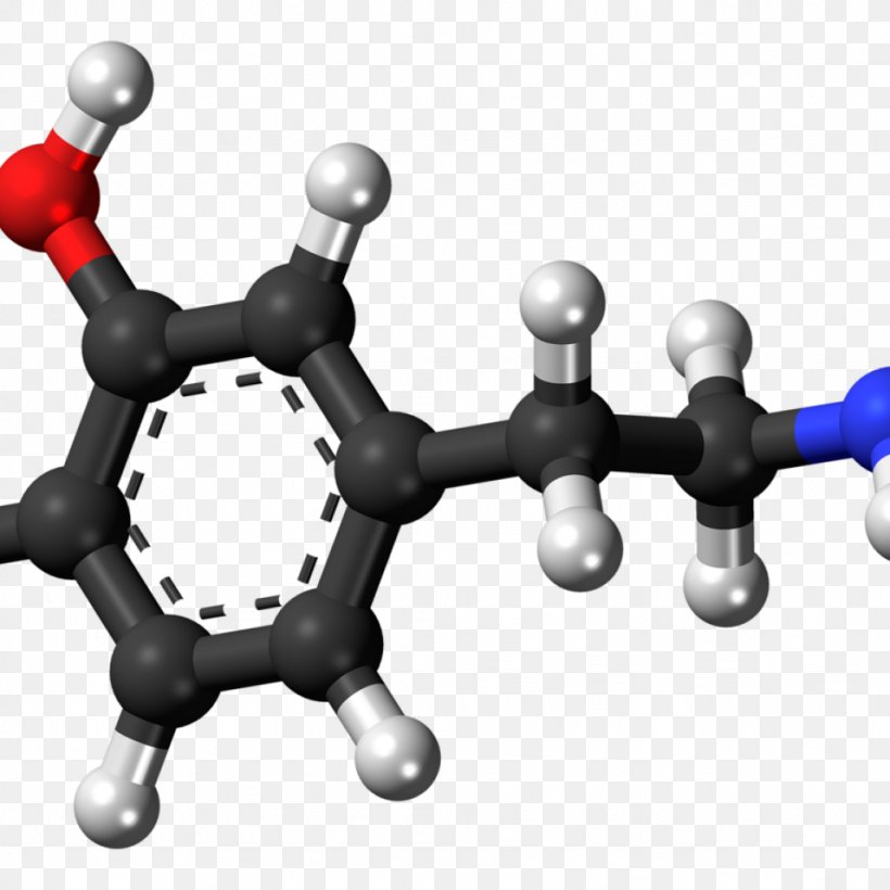 Chemical Compound N-Methylphenethylamine Trace Amine Chemistry Aromatic L-amino Acid Decarboxylase, PNG, 1024x1024px, Chemical Compound, Amine, Amino Acid, Aromatic Amino Acid, Aromatic Lamino Acid Decarboxylase Download Free
