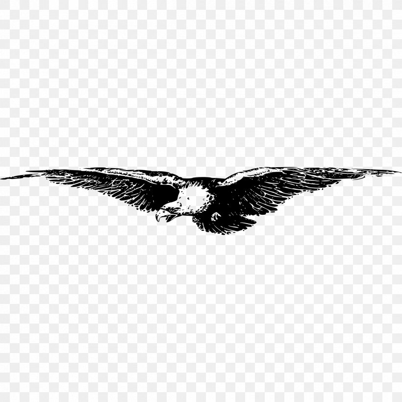 Flying Bird, PNG, 2400x2400px, Youtube, Accipitriformes, Autocad Dxf, Bald Eagle, Beak Download Free