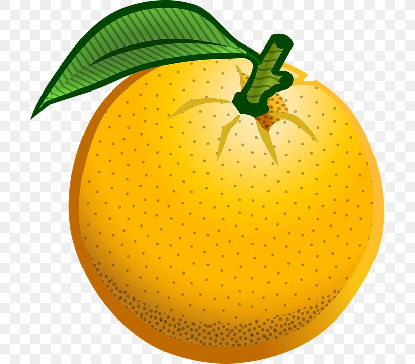 Orange Clip Art, PNG, 699x720px, Orange, Annoying Orange, Apple, Citrus, Color Download Free