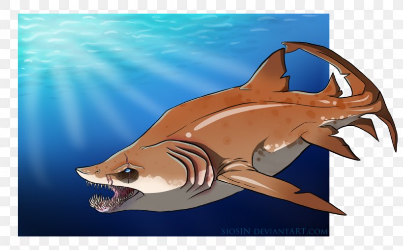 Tiger Shark Requiem Sharks Marine Biology, PNG, 1024x636px, Tiger Shark, Biology, Cartilaginous Fish, Fauna, Fin Download Free