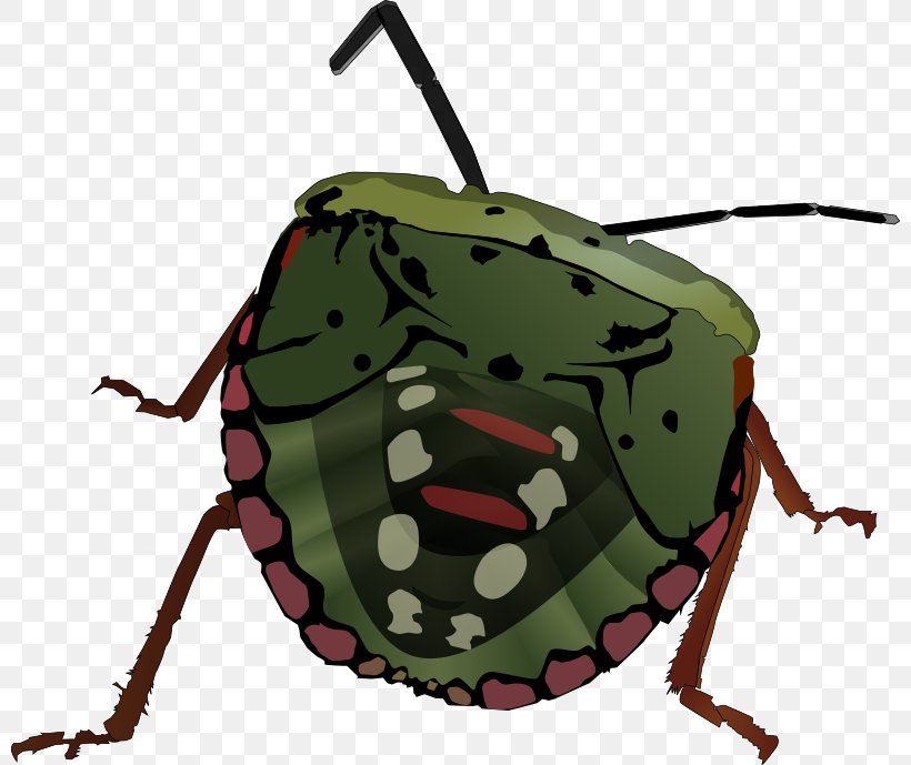 Beetle Clip Art, PNG, 800x689px, Beetle, Bag, Firefly, Insect, Invertebrate Download Free