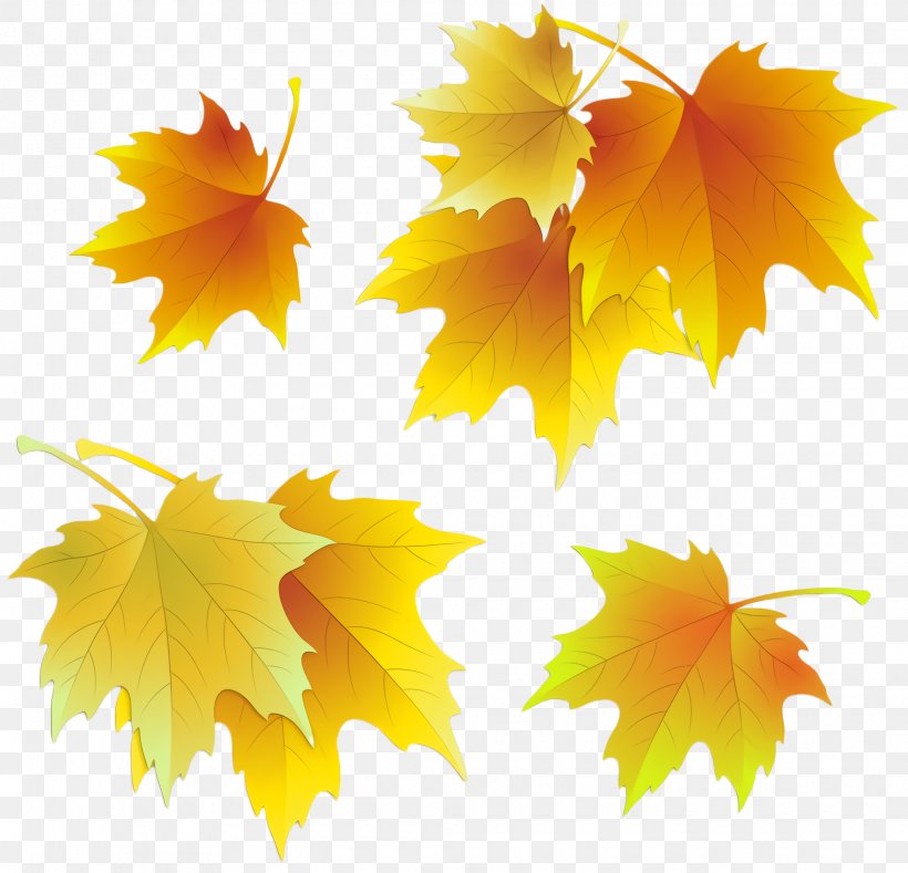 Maple Leaf, PNG, 2040x1964px, Leaf, Black Maple, Deciduous, Maple, Maple Leaf Download Free