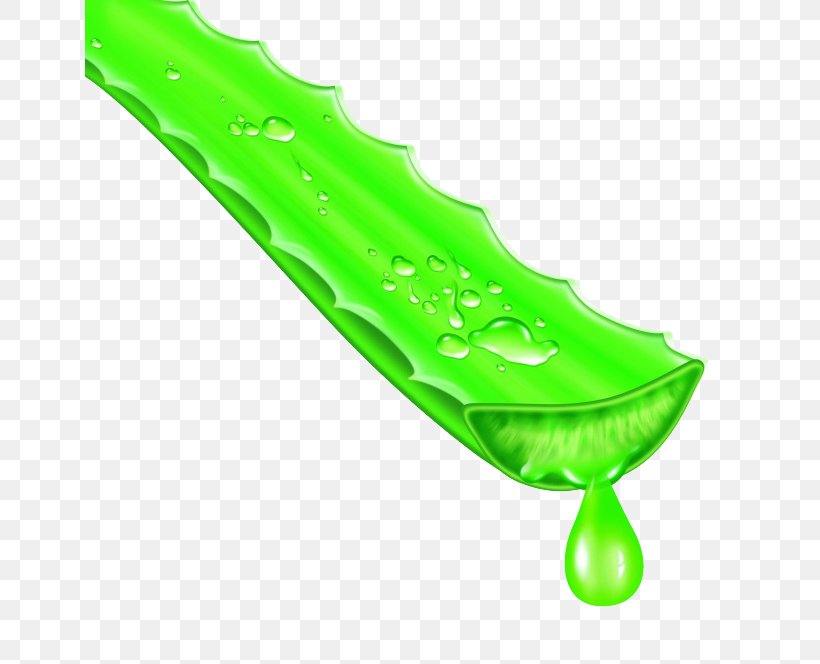 Aloe Vera Aloin Skin Emodin Face, PNG, 650x664px, Aloe Vera, Aloe, Aloin, Constipation, Eating Download Free