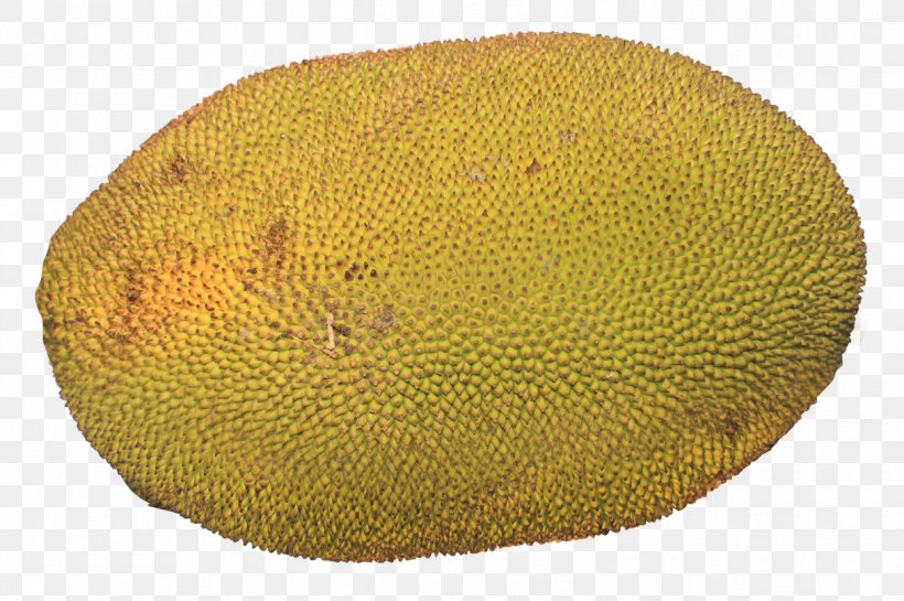 Citrus Kiwifruit Cempedak, PNG, 1215x808px, Citrus, Cempedak, Fruit, Galia, Jackfruit Download Free