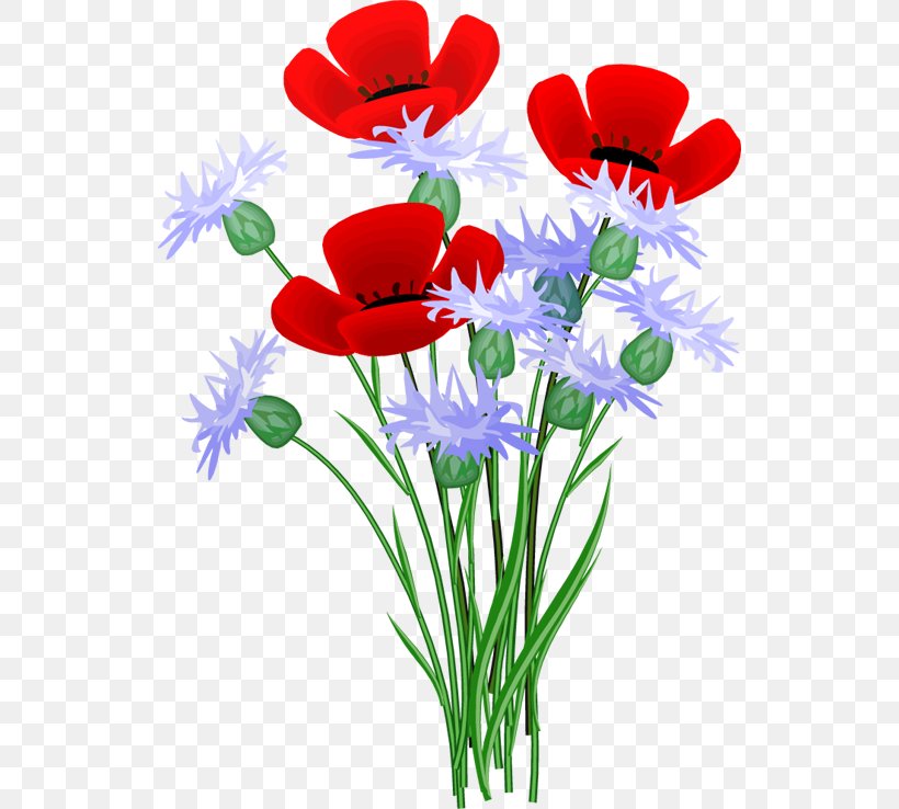 Clip Art Flower Openclipart Red GIF, PNG, 532x738px, Flower, Anemone, Annual Plant, Blue, Cut Flowers Download Free