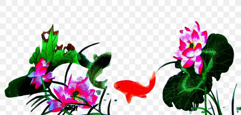 Goldfish Common Carp Nelumbo Nucifera, PNG, 1024x492px, Goldfish, Art, Carassius Auratus, Chinese New Year, Common Carp Download Free