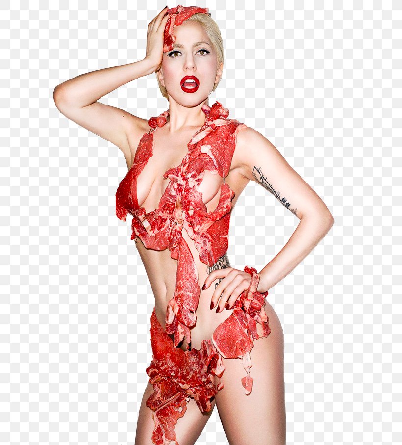 Lady Gaga's Meat Dress, PNG, 642x907px, Watercolor, Cartoon, Flower, Frame, Heart Download Free