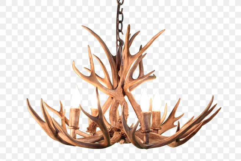 Light Cartoon, PNG, 1152x768px, Chandelier, Antler, Ceiling Fixture, Deer, Electric Light Download Free