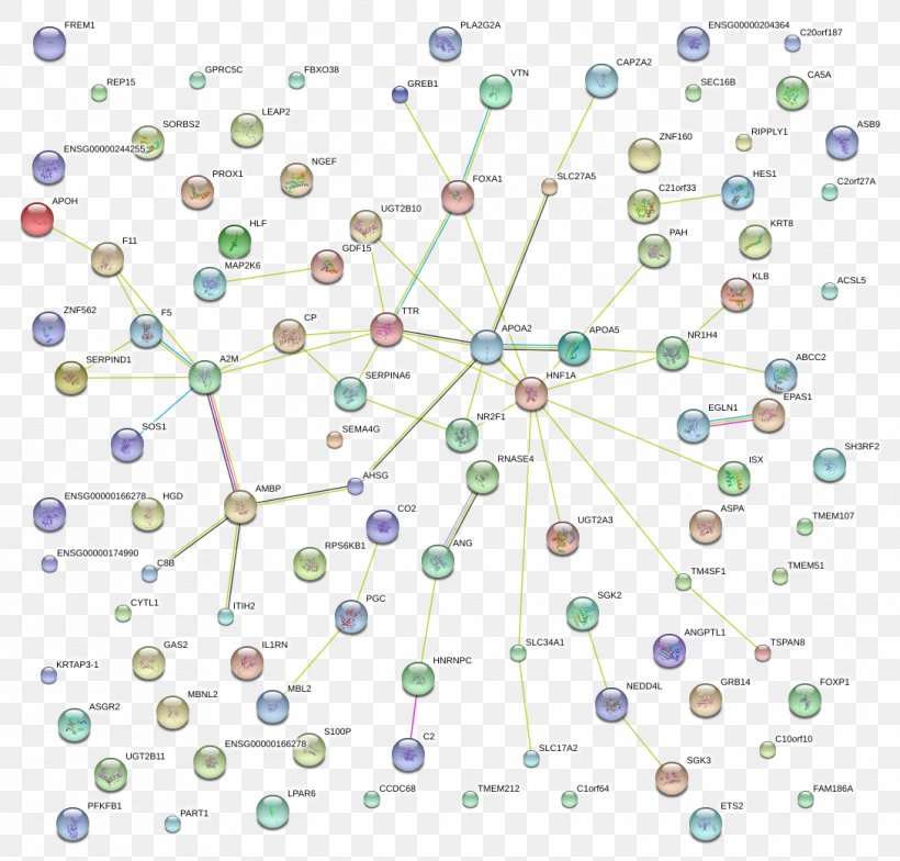 Line Point Angle Organism, PNG, 1089x1042px, Point, Area, Microsoft Azure, Organism, Symmetry Download Free