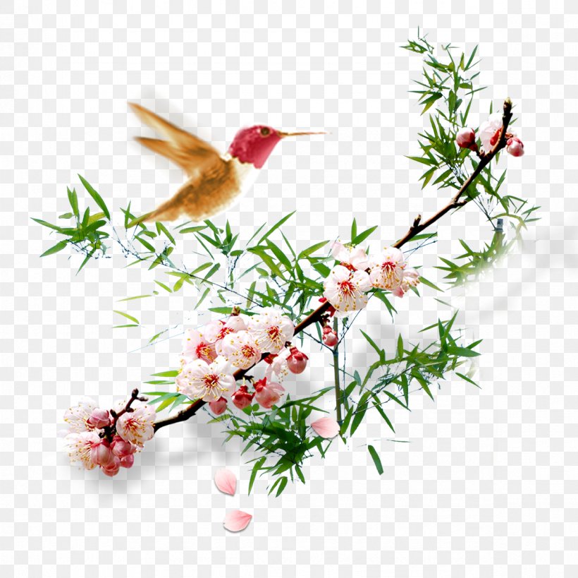 Floral Design Apricot Plum Blossom Flower, PNG, 1181x1181px, Flower, Apricot, Art, Bird, Blossom Download Free