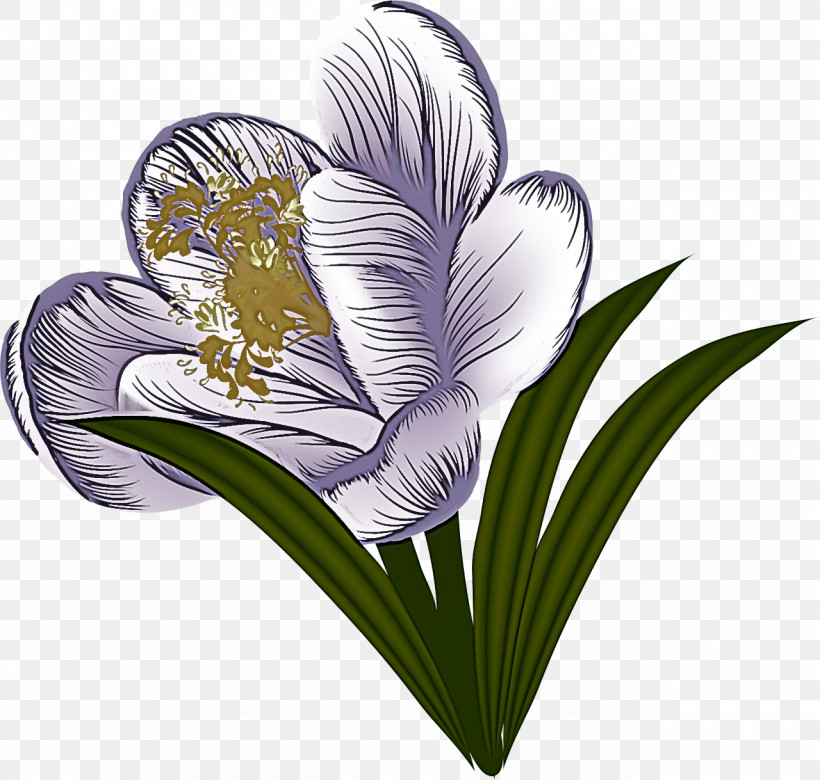 Flower Plant Violet Petal Heart, PNG, 1280x1219px, Flower, Crocus, Heart, Petal, Plant Download Free