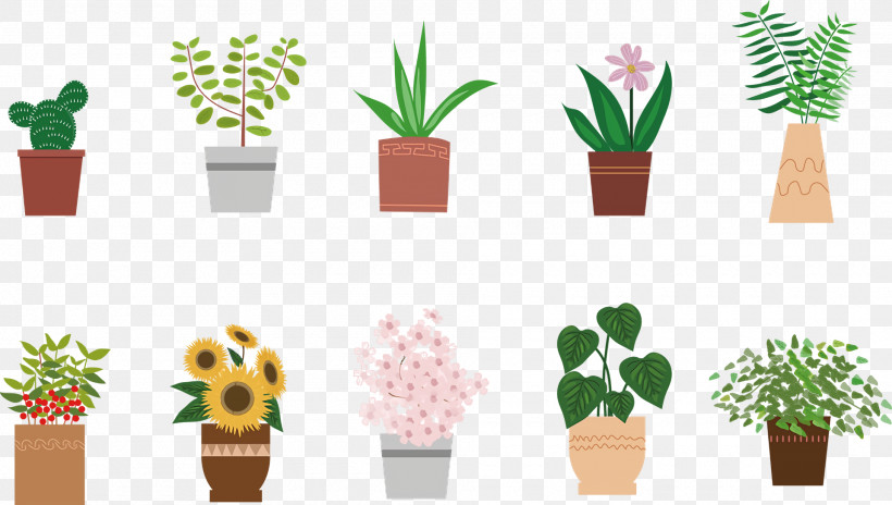 Flowerpot Citroën Cactus M Font M-tree Meter, PNG, 1920x1088px, Flowerpot, Flower, Meter, Mtree, Tree Download Free